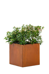 Jardinière Hudson petite 50x50x50cm